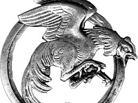 Insigne du Bataillon de Joinville. Béret ou pendentif sur vareuse.  P124-2 > Insigne du Bataillon de Joinville. Béret ou pendentif sur vareuse.